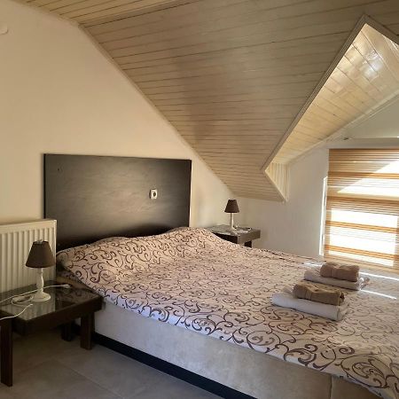 Simic Apartman Arandjelovac Kültér fotó